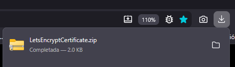 Archivo ZIP descargado en la carpeta Descargas