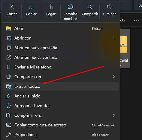 Opción Extraer todo en Windows